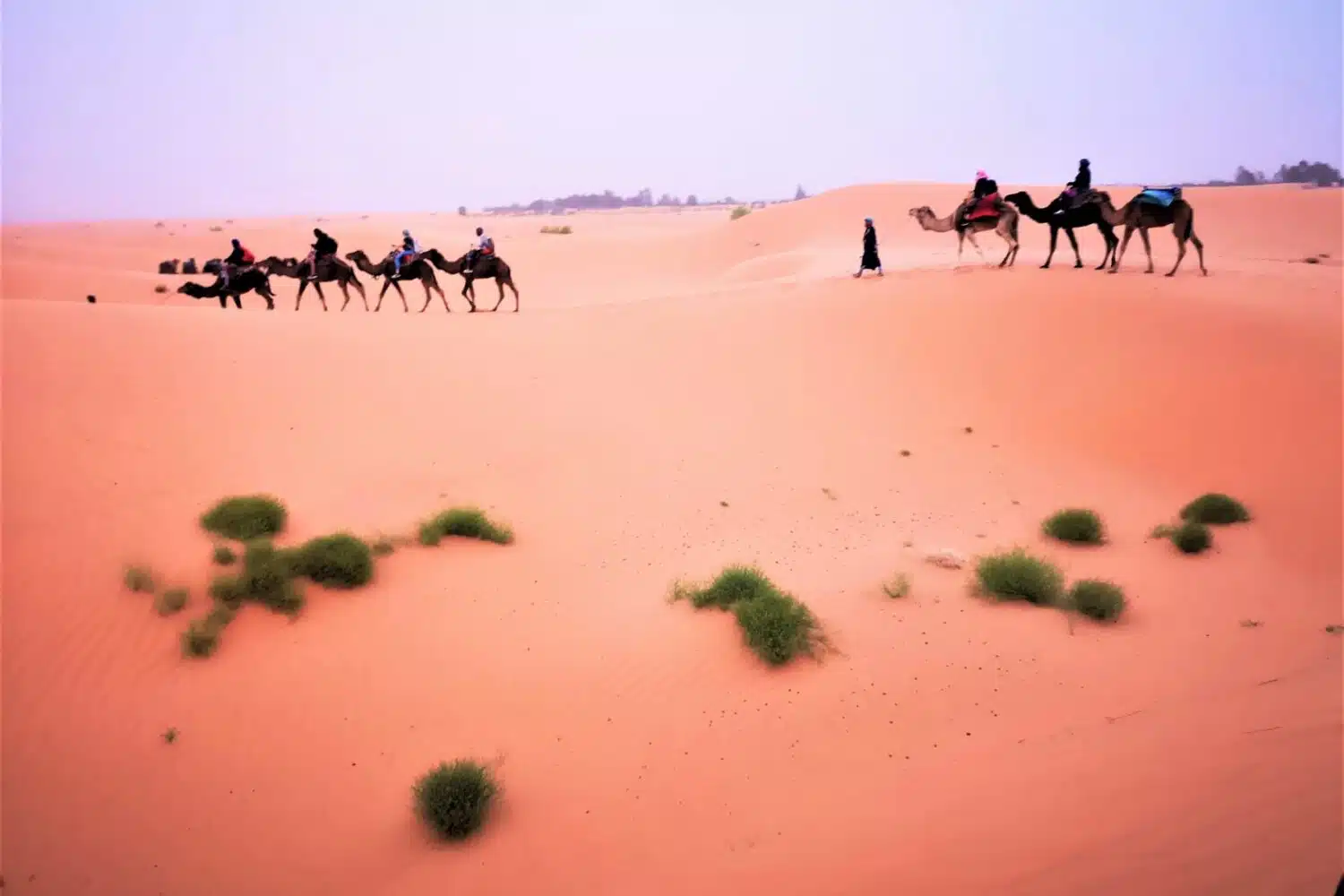 Merzouga Morocco Marrakech to Sahara desert