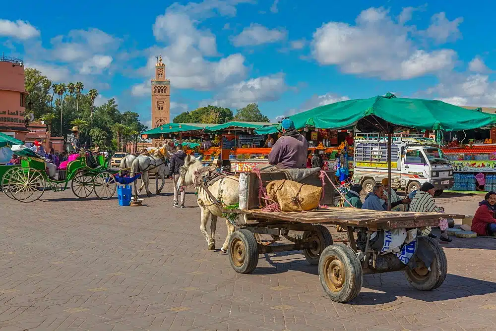 Marrakech medina Marrakech Morocco tour highlights