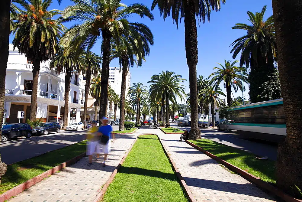 Casablanca Casablanca tour highlights