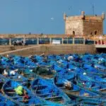 Day trip to Essaouira from Marrakech