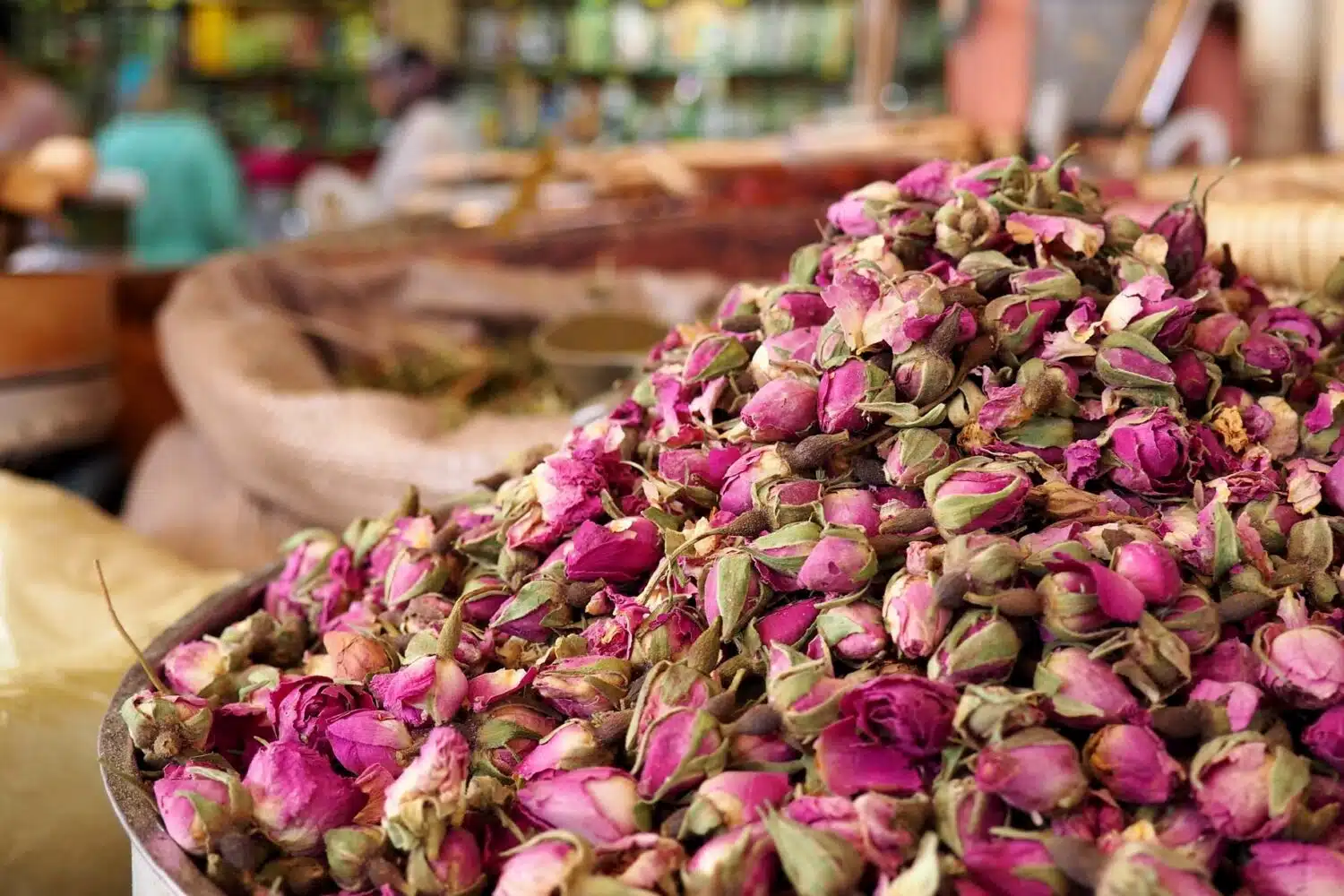 Roses morocco Private Tours from Casablanca Kelaat m'gouna