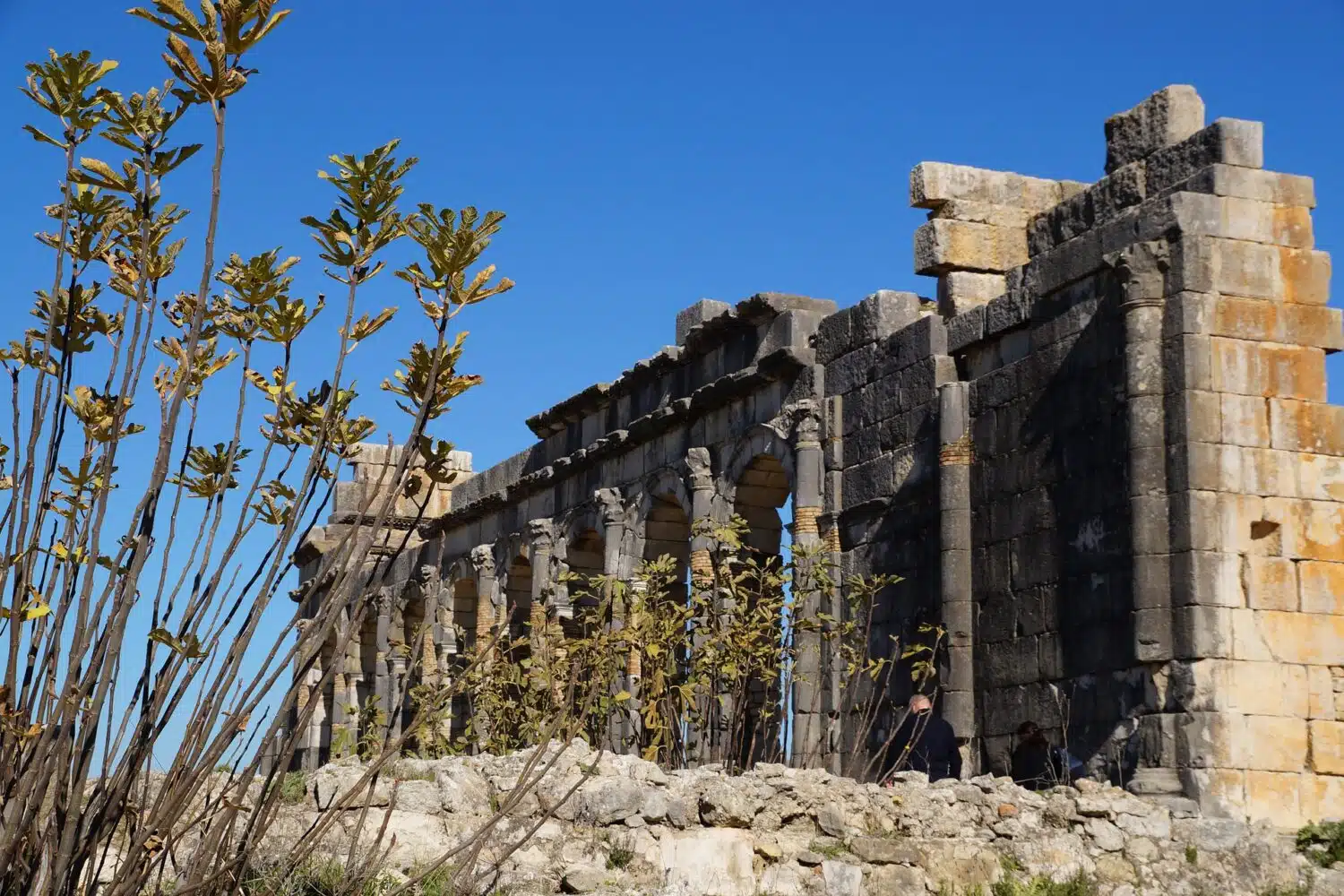 Volubilis Volubilis tour