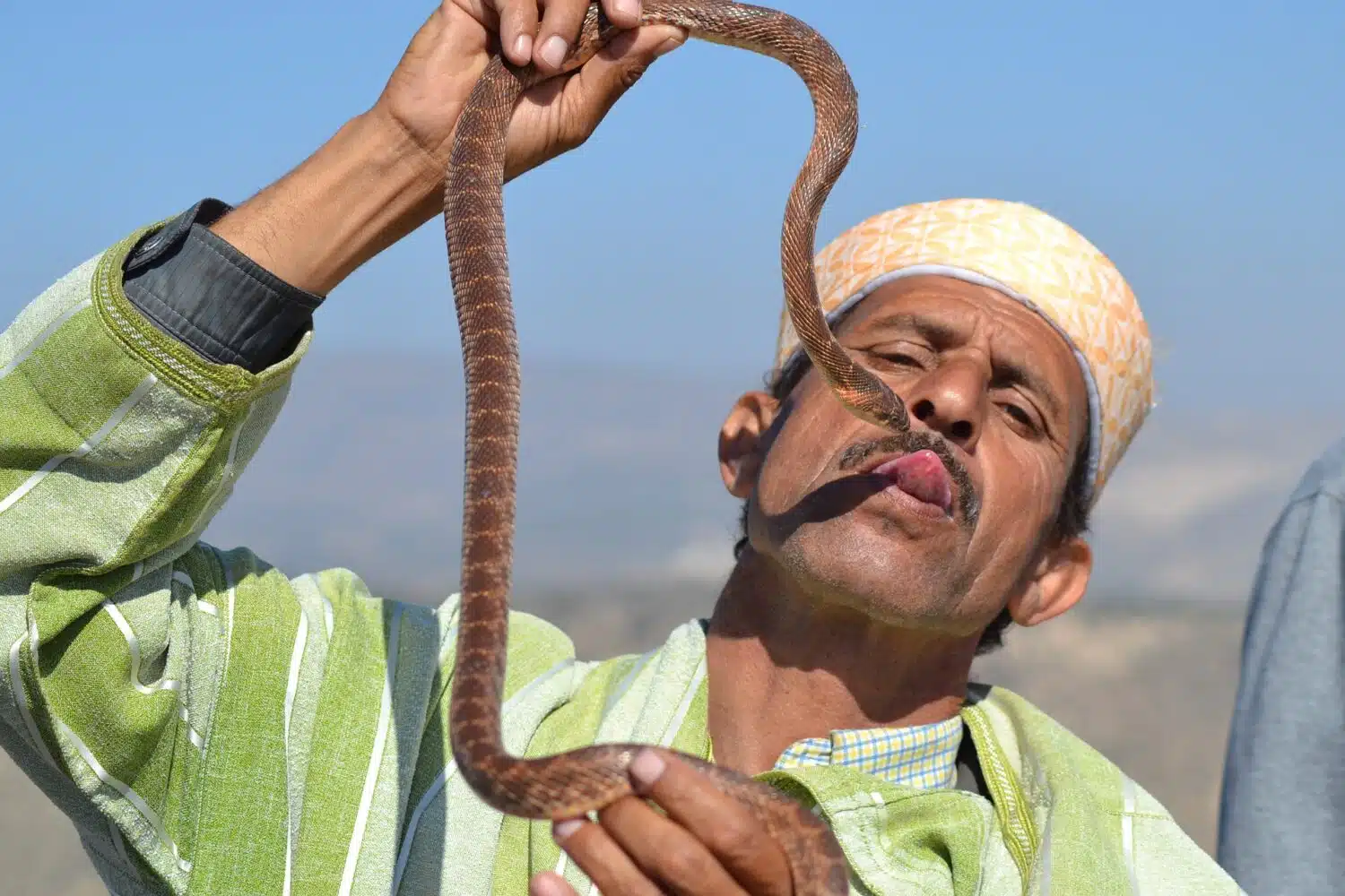 snake charmer marrakech Marrakech vacations