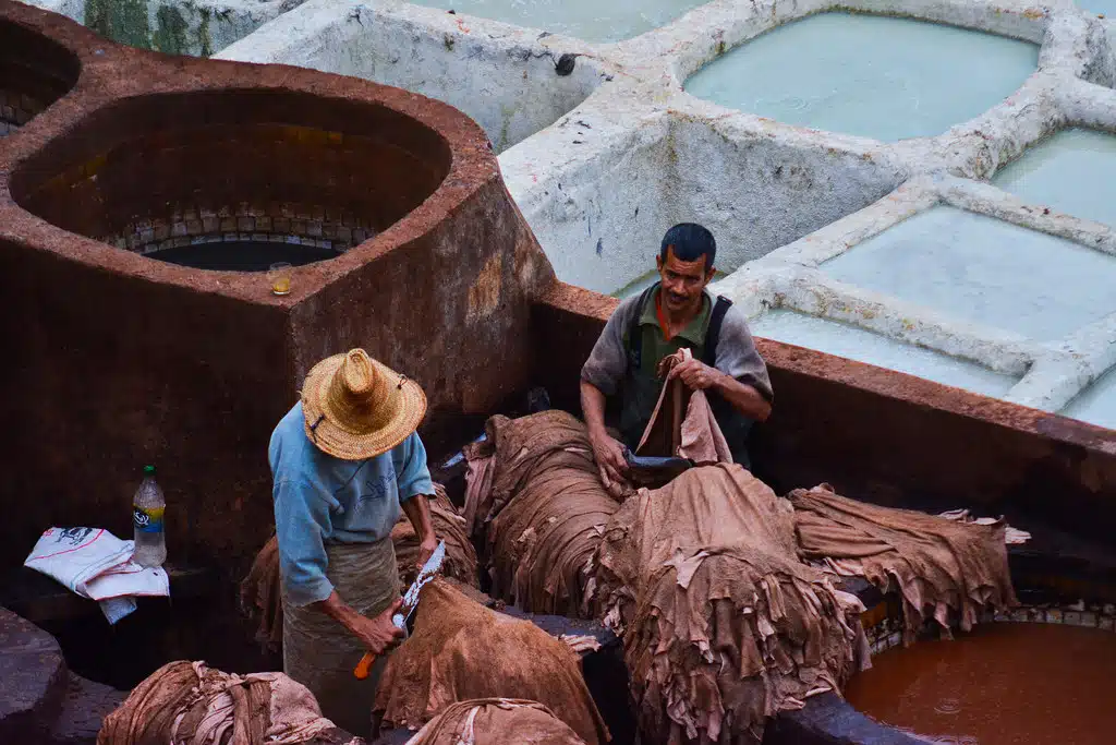 Chouara tannery Casablanca tour Packages Fez Casablanca tour Packages