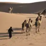 2 day private desert tour from Fez