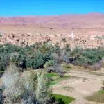 Desert trip from Ouarzazate
