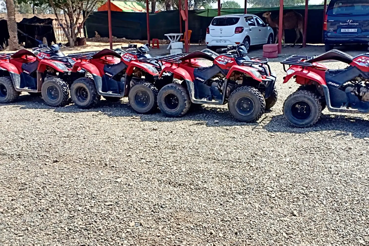 IMG20190505104316