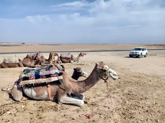 Agafay desert Gboo Morocco Tours Day trip to Agafay Desert