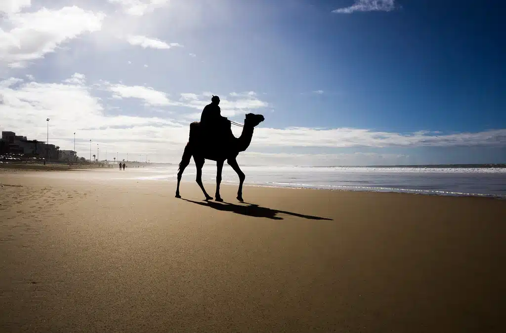 40111974985_8deb95aa47_b