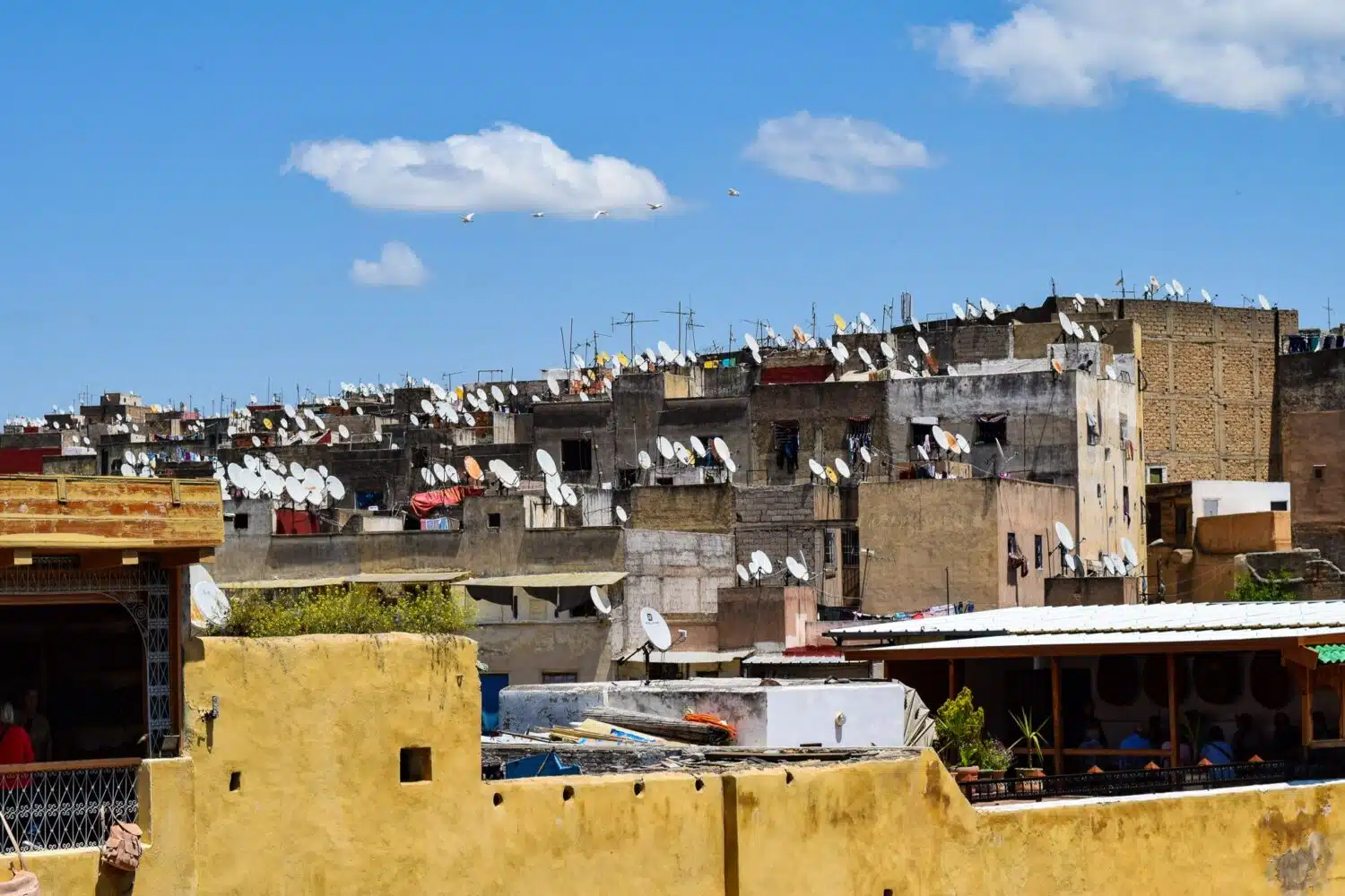 Rooftops Morocco Fez tour