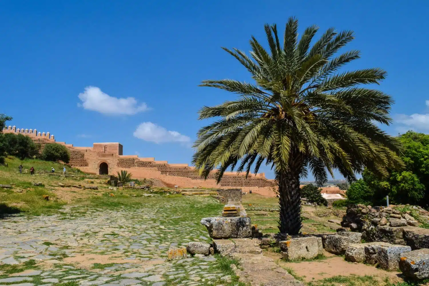 Chellah Rabat fez prive tour