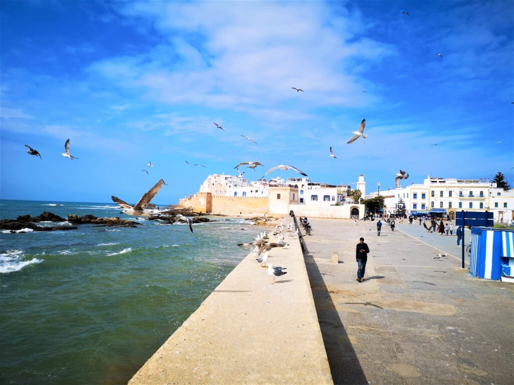 279851675 10221684191477560 2231380785838148550 n Morocco tour packages