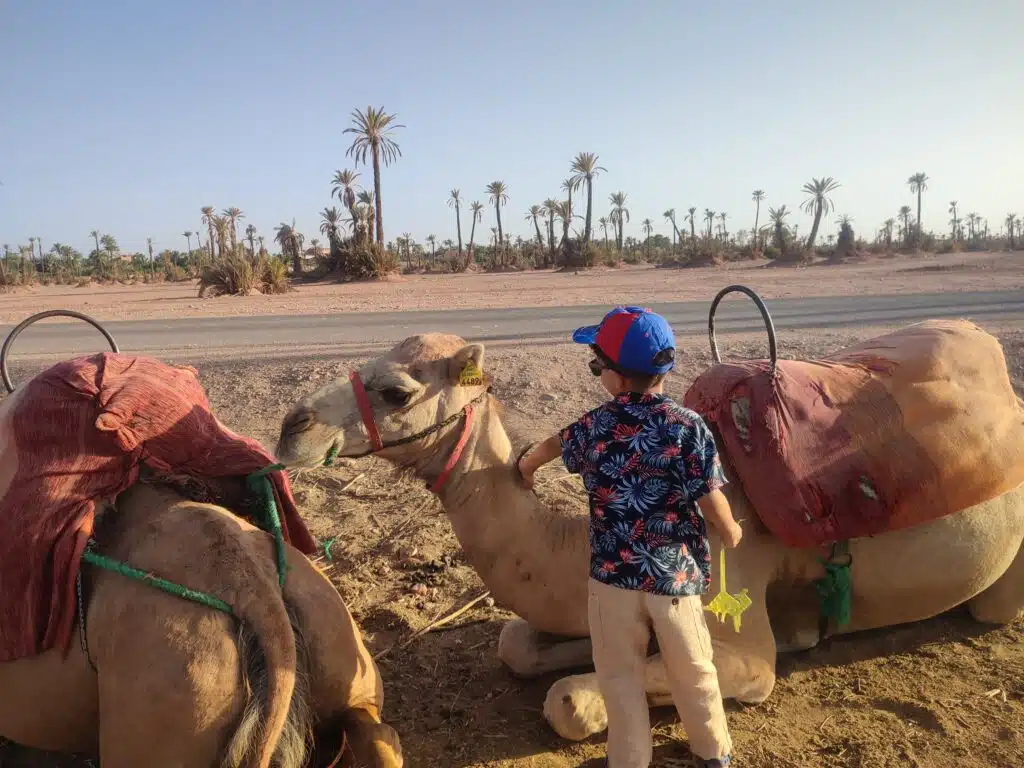 family travel morocco