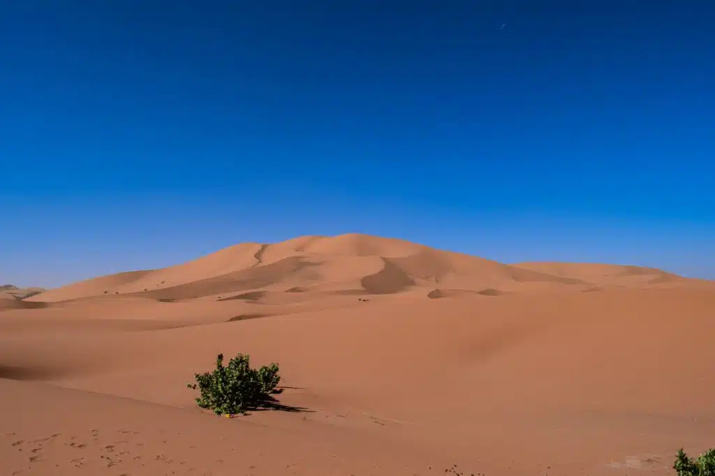 Erg Chebbi dunes Morocco tours from Singapore