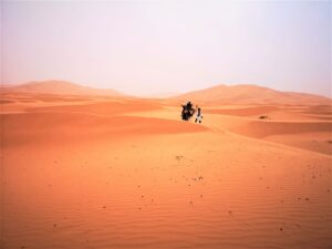 Camel ride Merzouga Desert Morocco