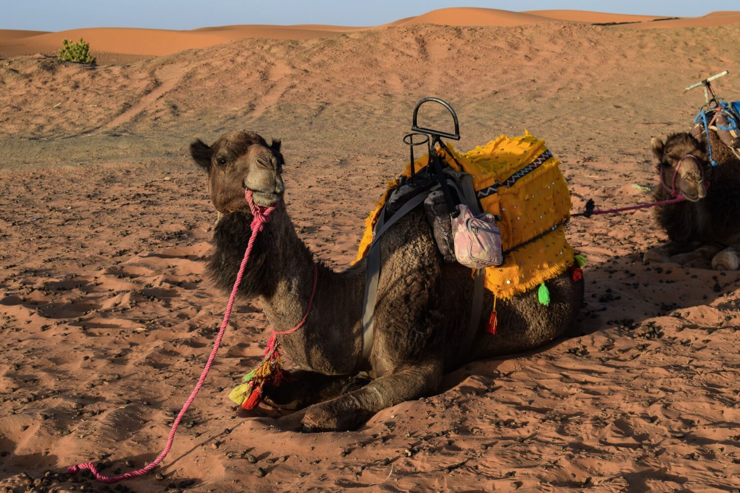 Desert Tours from Marrakech