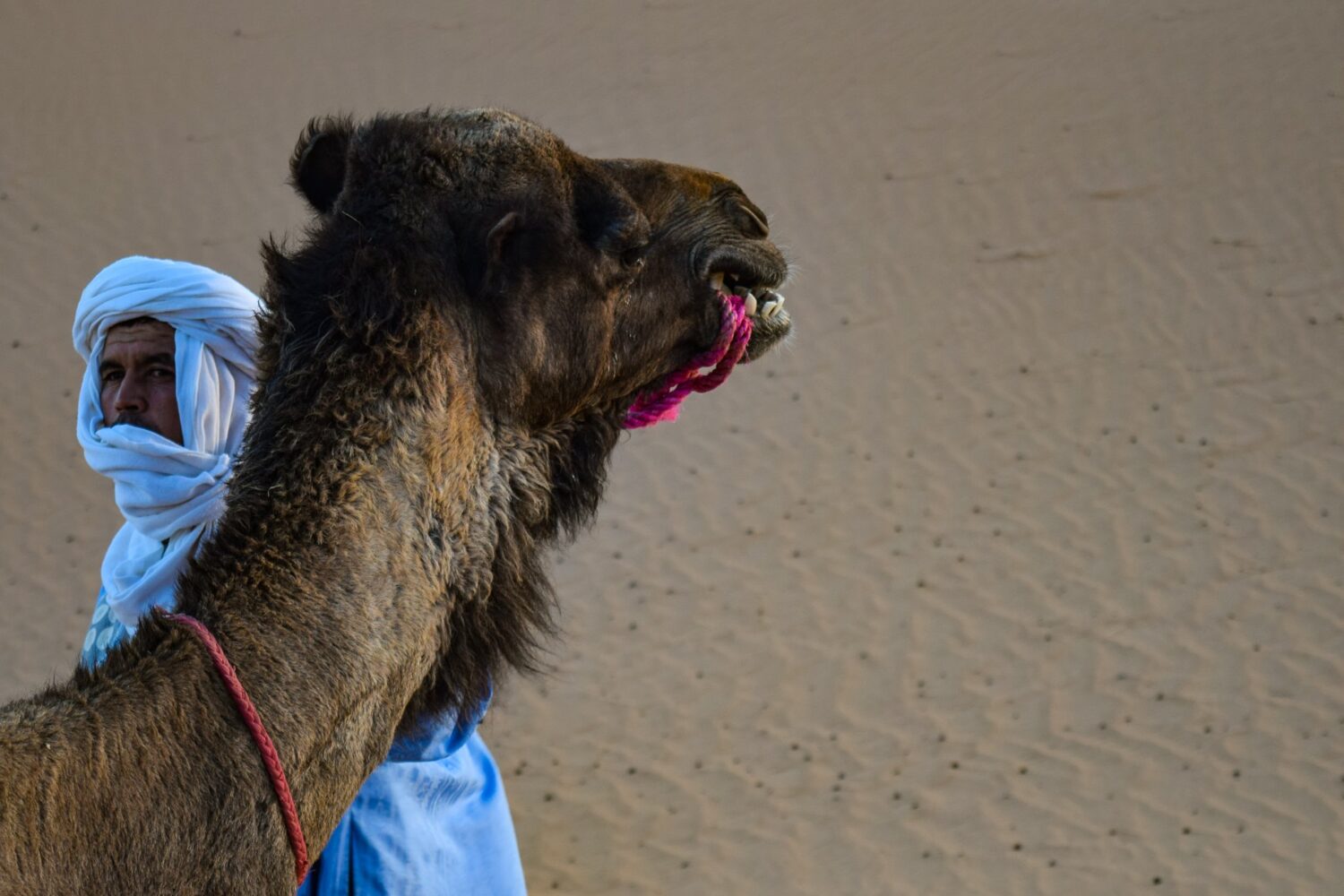 Merzouga desert tour