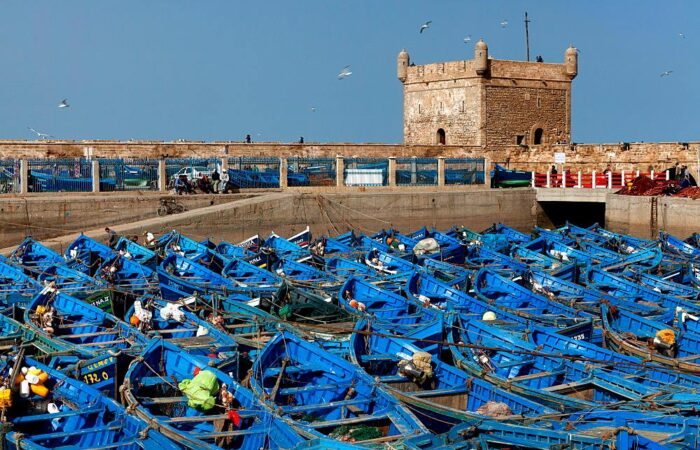 Excursion from Marrakech to Essaouira