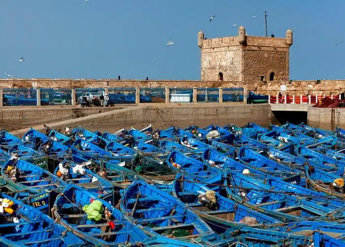 Excursion from Marrakech to Essaouira