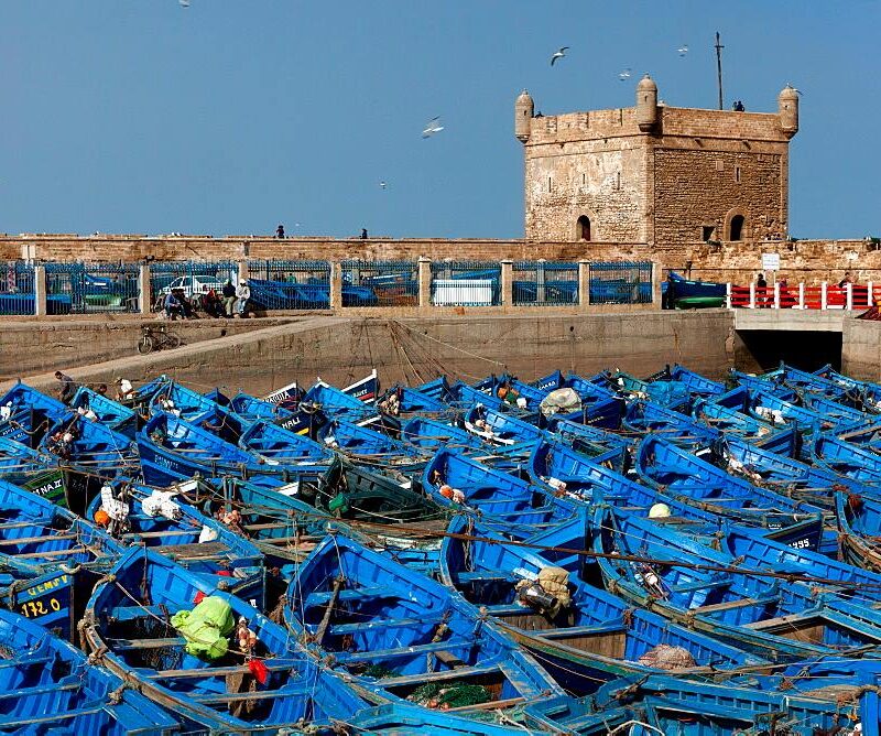 Excursion from Marrakech to Essaouira