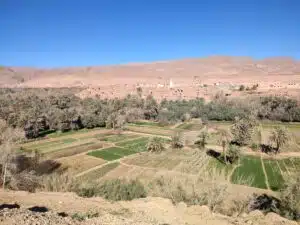 Sahara desert Morocco tour