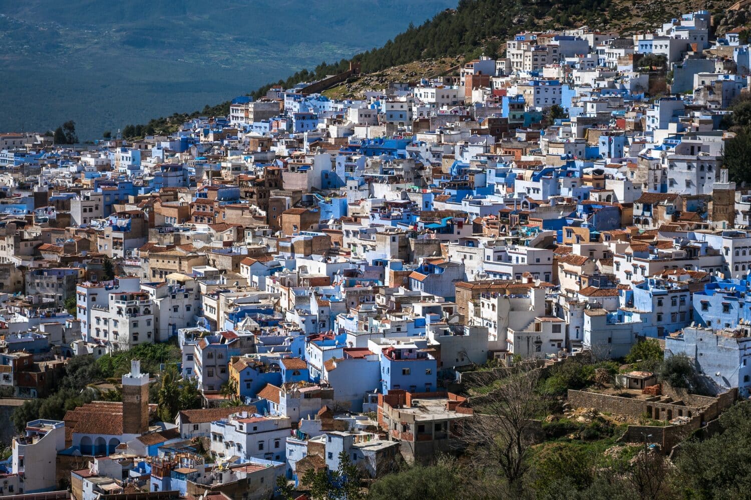 Chefchaouen from Marrakech