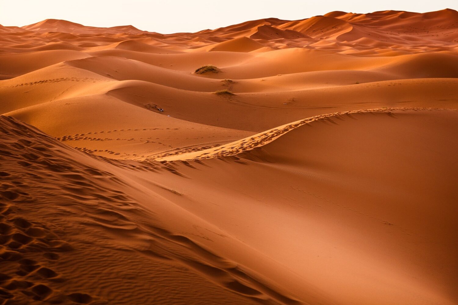 Moroccan desert