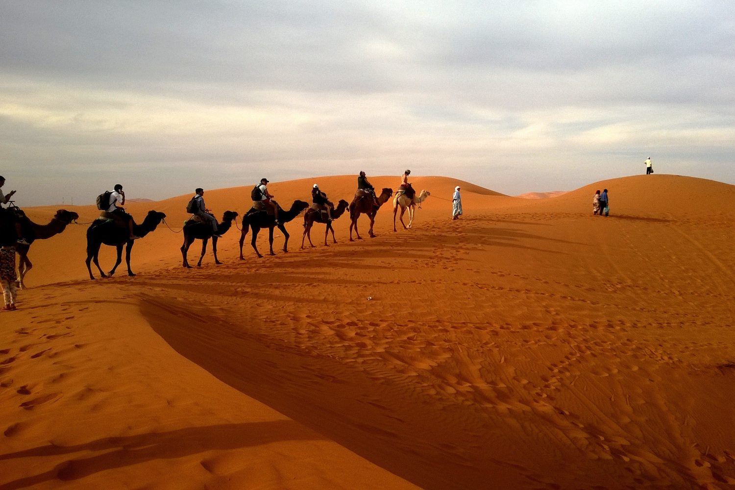 Trips from Marrakech