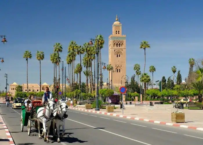 Tours from Marrakech kotoubia mosque