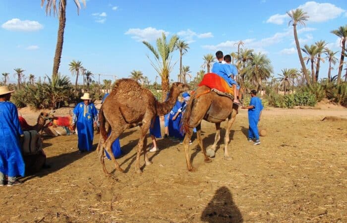 Palmeraie Marrakech