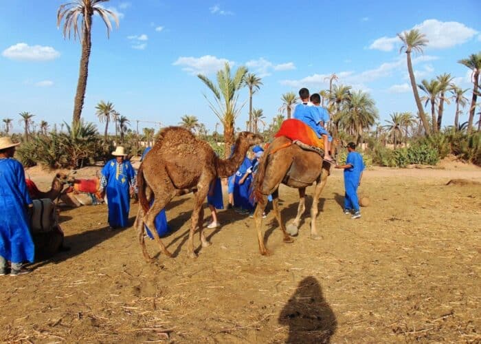 Palmeraie Marrakech