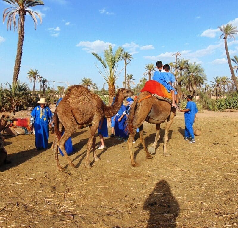 Palmeraie Marrakech