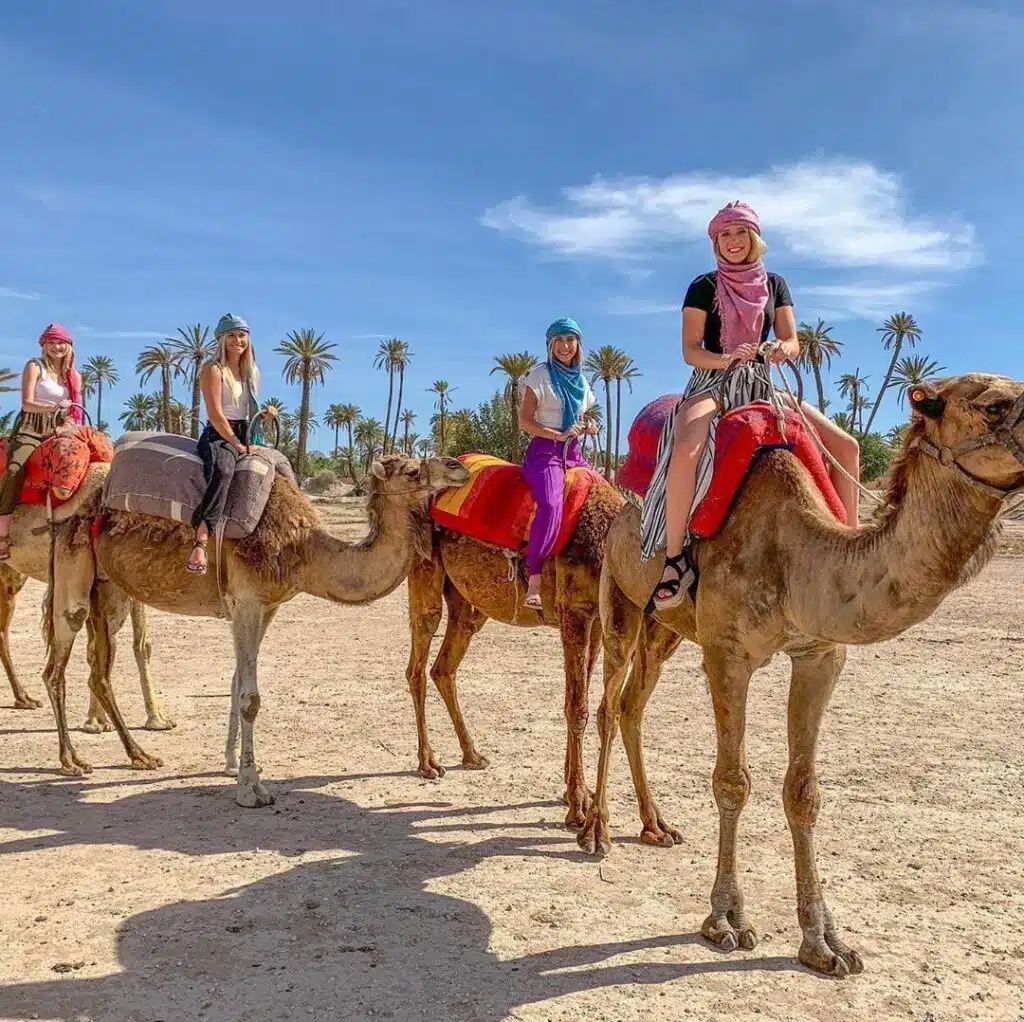 camel ride Marrakech activities