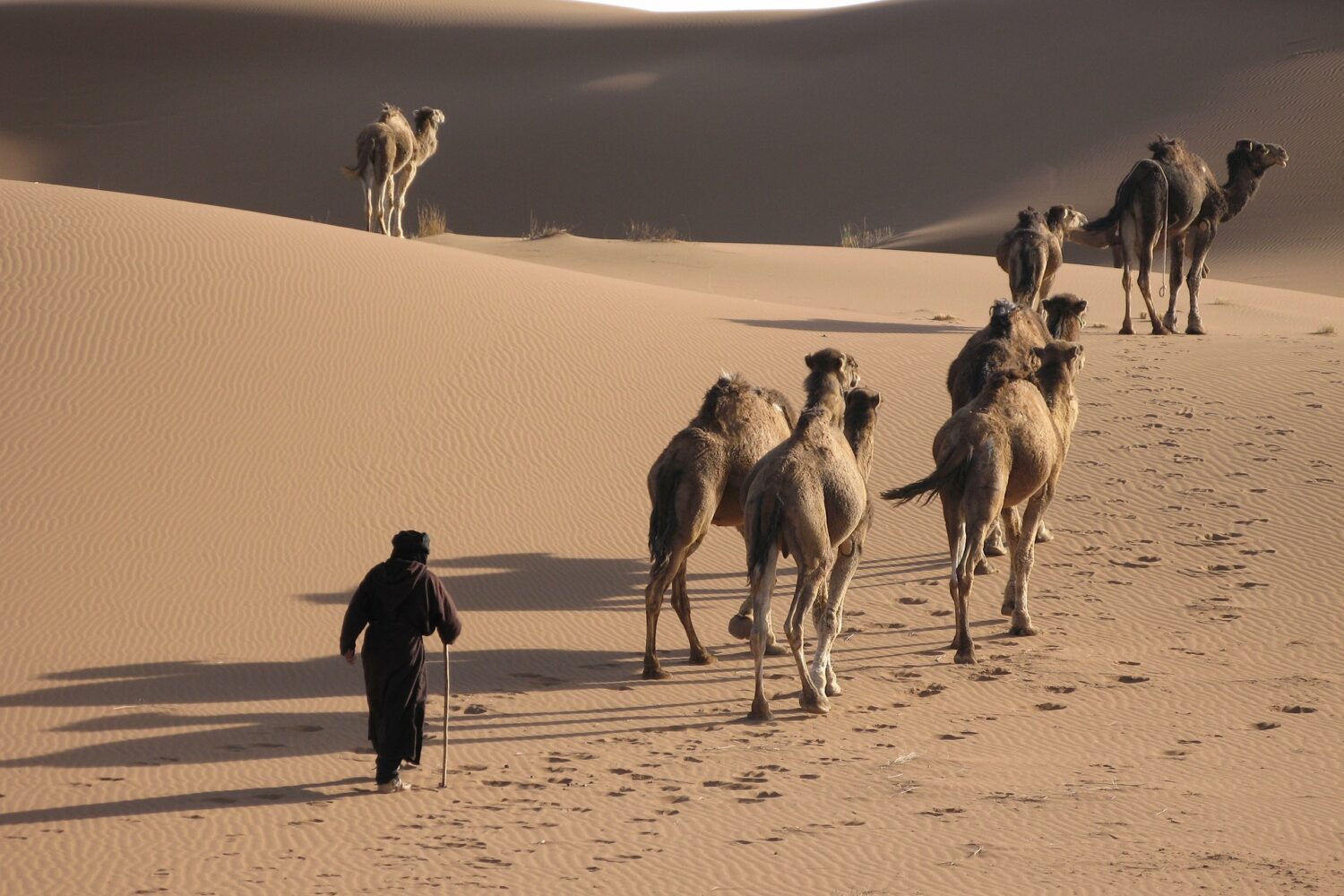 2 day private desert tour from Fez