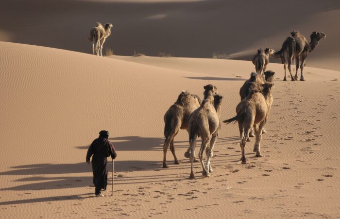 2 day private desert tour from Fez