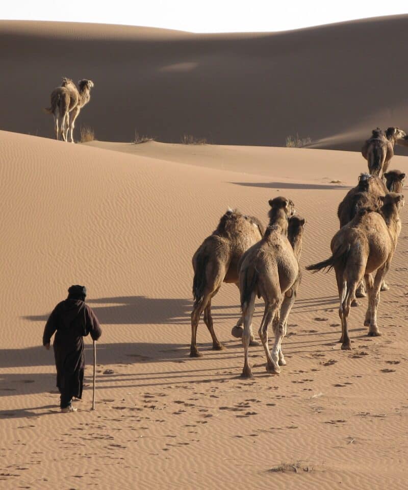 2 day private desert tour from Fez