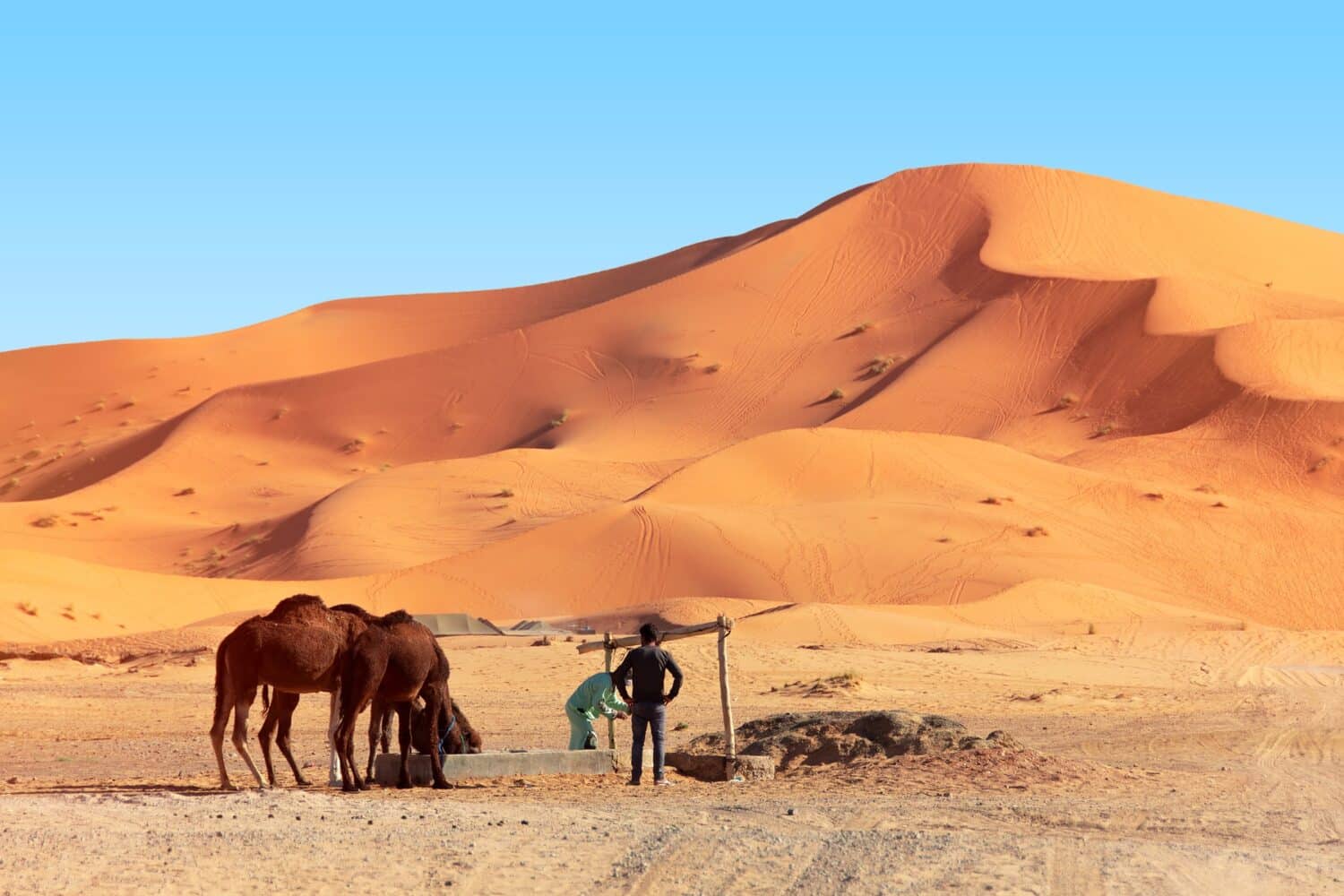 Merzouga desert tours