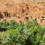 Private Tour Casablanca