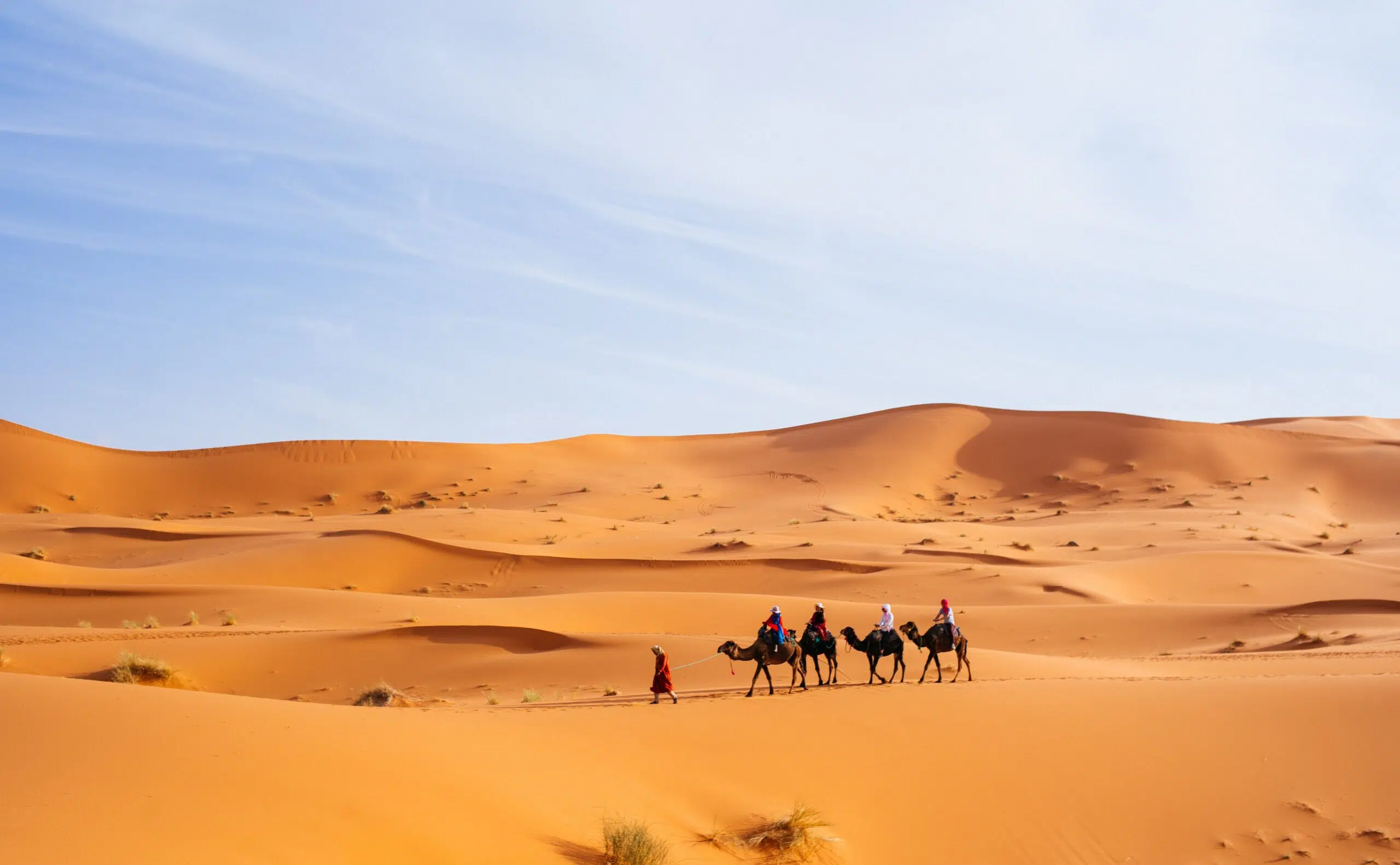 Merzouga sahara desert trips