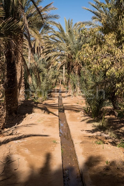 hassilabied erg chebbi moroco