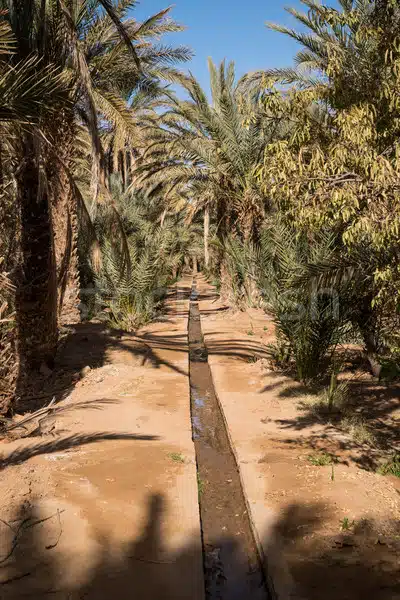 hassilabied erg chebbi moroco Things to do in Merzouga desert