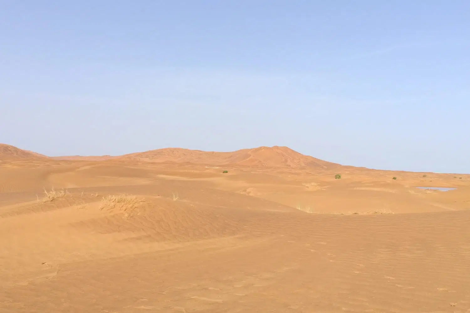 Merzouga sahara desert