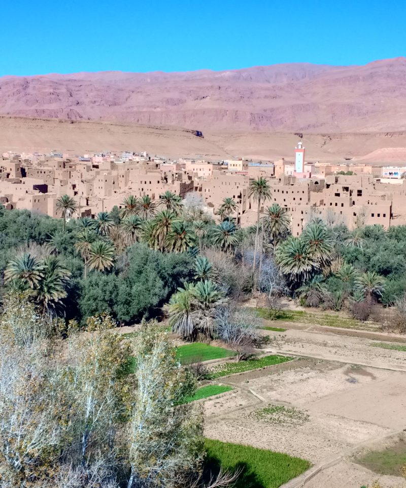 Desert trip from Ouarzazate