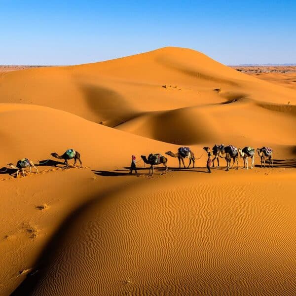 merzouga tours gboo