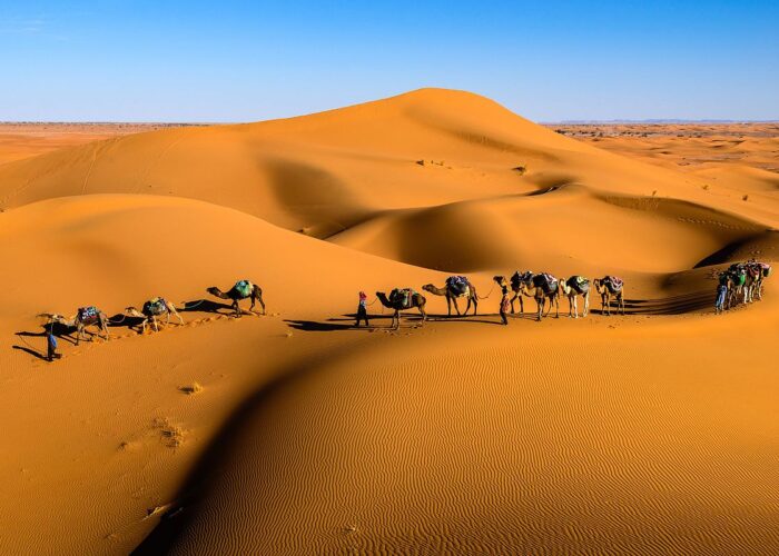 merzouga tours gboo