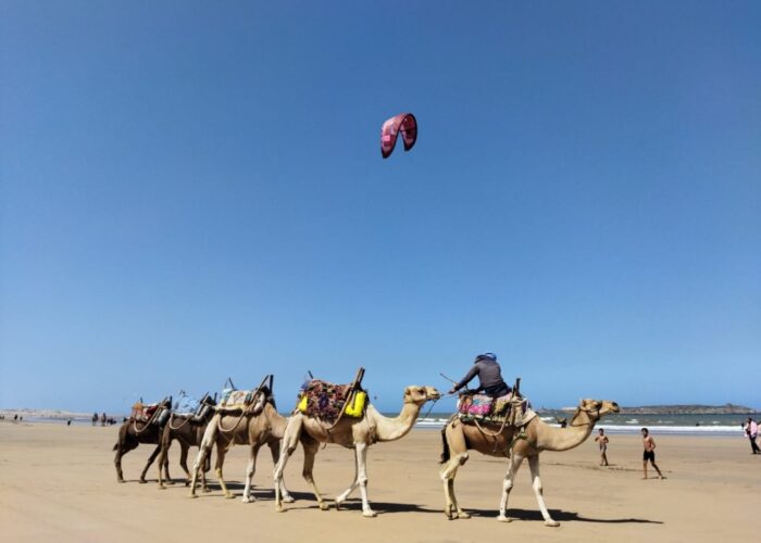 Essaouira tour gboo