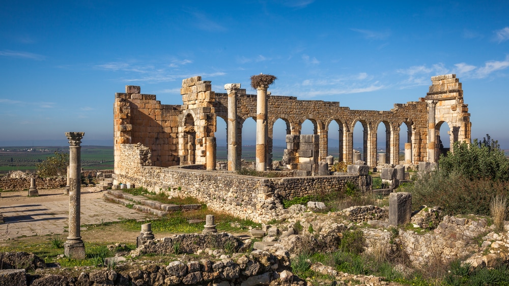 volubilis gboo morocco tours