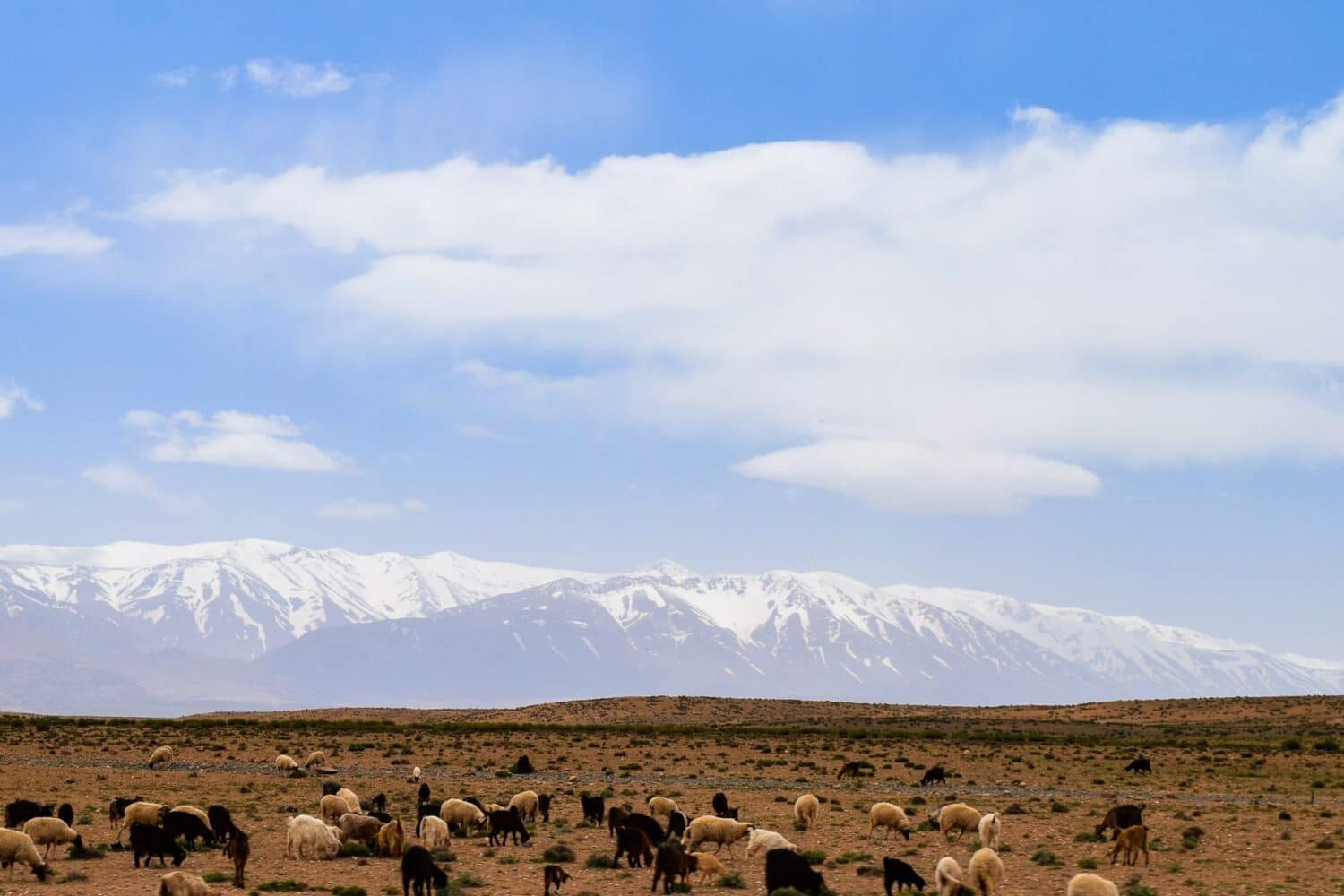 Middle Atlas mountain Morocco