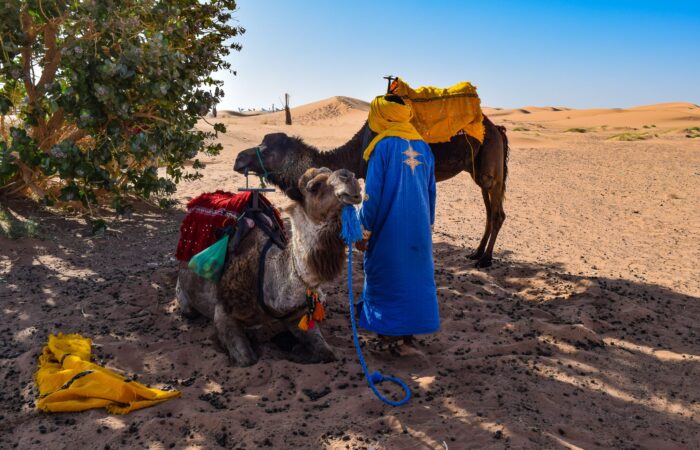 Private tour from Tangier