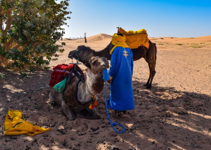 Private tour from Tangier